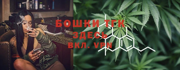 ПСИЛОЦИБИНОВЫЕ ГРИБЫ Белокуриха