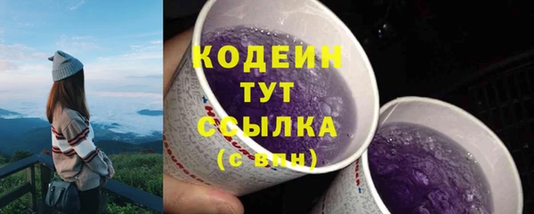 ПСИЛОЦИБИНОВЫЕ ГРИБЫ Белокуриха