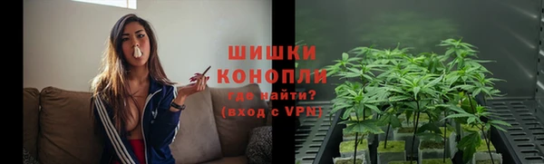 ПСИЛОЦИБИНОВЫЕ ГРИБЫ Белокуриха