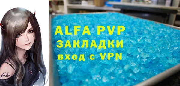 ПСИЛОЦИБИНОВЫЕ ГРИБЫ Белокуриха