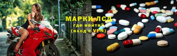 ПСИЛОЦИБИНОВЫЕ ГРИБЫ Белокуриха