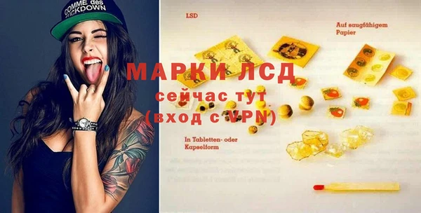 ПСИЛОЦИБИНОВЫЕ ГРИБЫ Белокуриха
