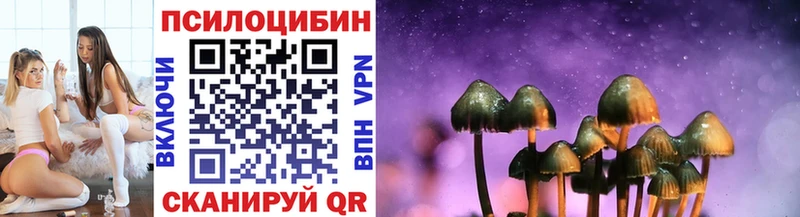 цены наркотик  Туймазы  Псилоцибиновые грибы мицелий 
